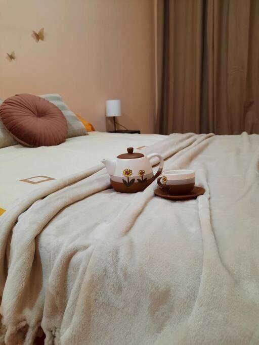 Apartmán Bem Acogedora Y Muy Centrica Zamora Exteriér fotografie