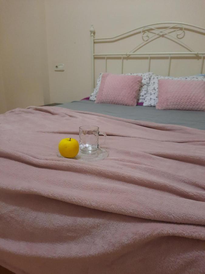 Apartmán Bem Acogedora Y Muy Centrica Zamora Exteriér fotografie