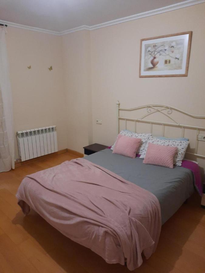 Apartmán Bem Acogedora Y Muy Centrica Zamora Exteriér fotografie